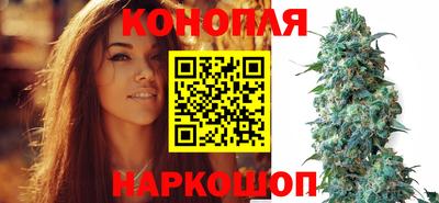 mdpv Гусиноозёрск